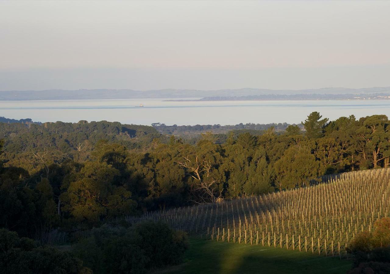 Port Phillip Estate Hotel Red Hill South Екстериор снимка